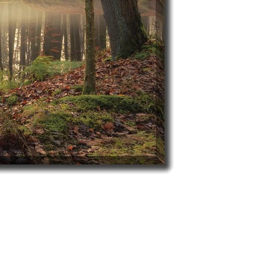 Bridge Over Troubled Waters