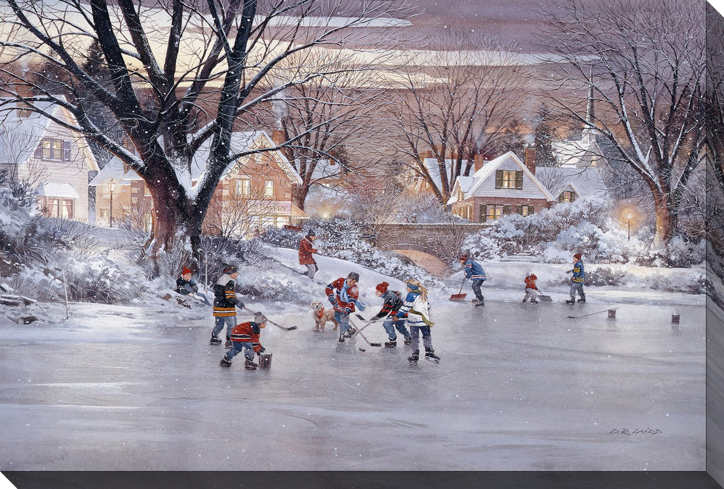 Hometown Hockey