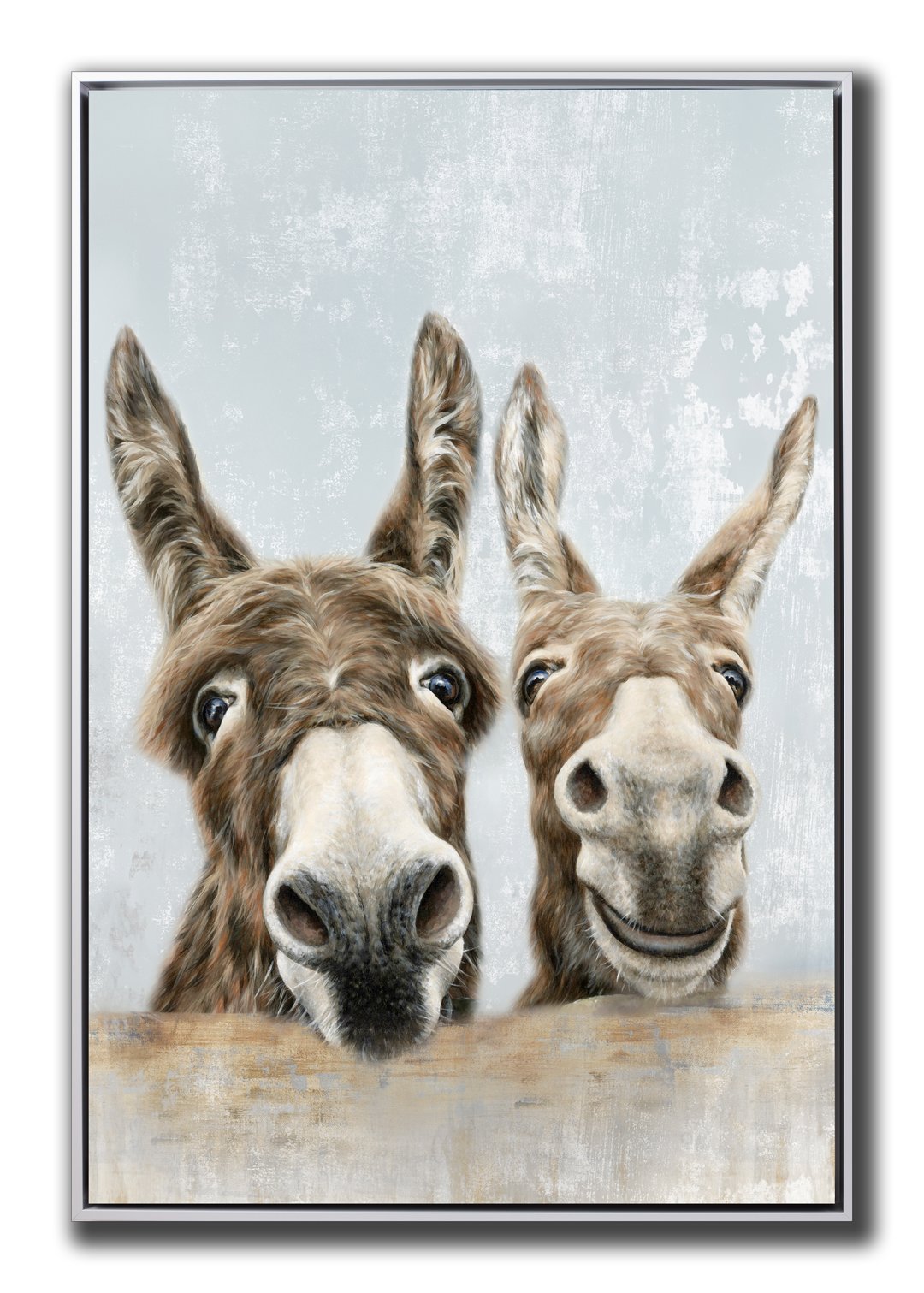 Animals