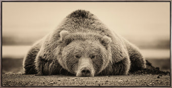 compare product Deep Sleep