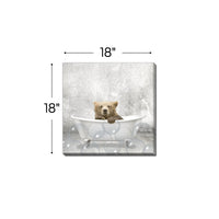 Baby Bear Bath