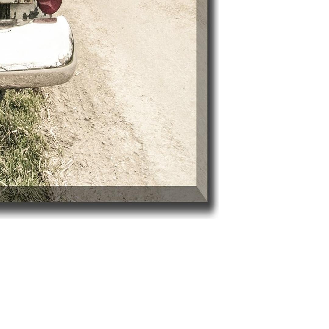 Labradors In A Vintage Truck