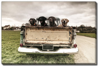 compare product Labradors In A Vintage Truck