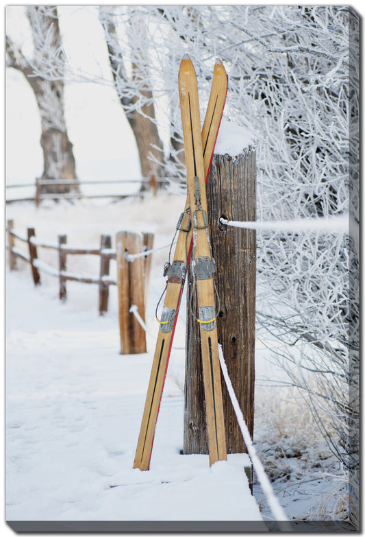 Vintage Skis