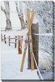 Vintage Skis