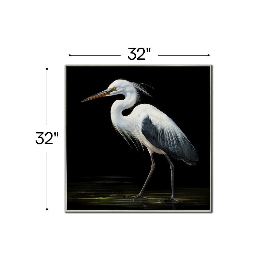 Midnight Heron II