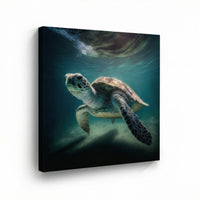 Green Sea Turtle
