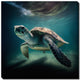 Green Sea Turtle