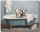Bathtub Goats II