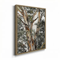 Sitting Under The Trees