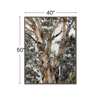 Sitting Under The Trees