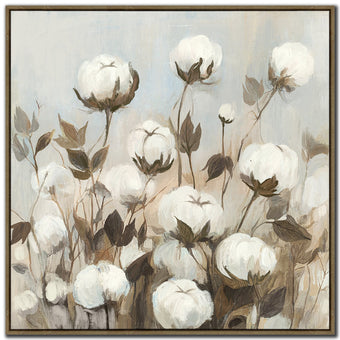 compare product Cotton Season