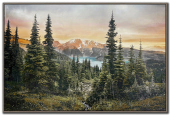 compare product Alpine Silence