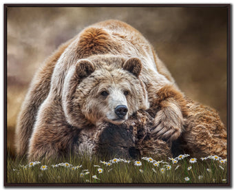 compare product The Somber Wake