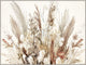 Pampas Harmony