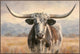 Horned Horizon