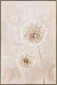 Dandelion Wish II