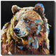 Vibrant Bear