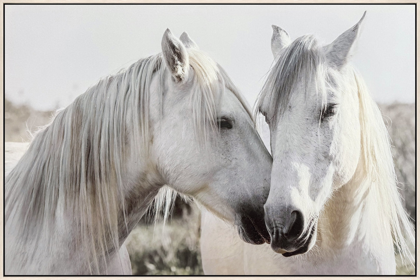 Equine Spirits