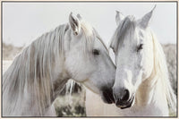 Equine Spirits