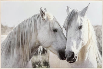compare product Equine Spirits