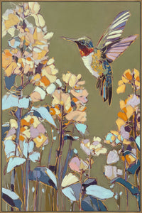 Hummingbird Dance II