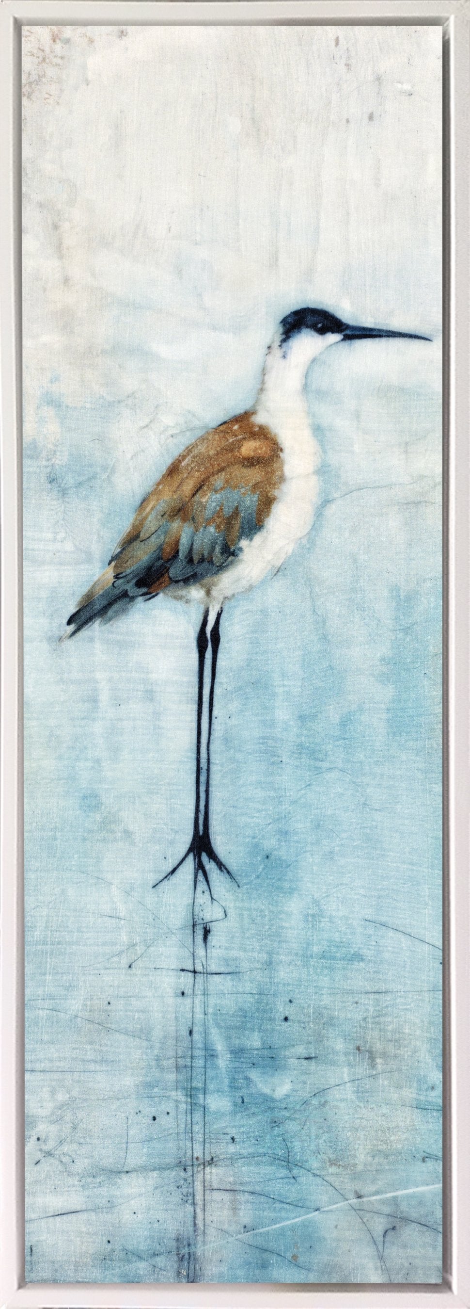 Seabirds Panel II