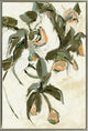Branch of Sunlit Harvest II