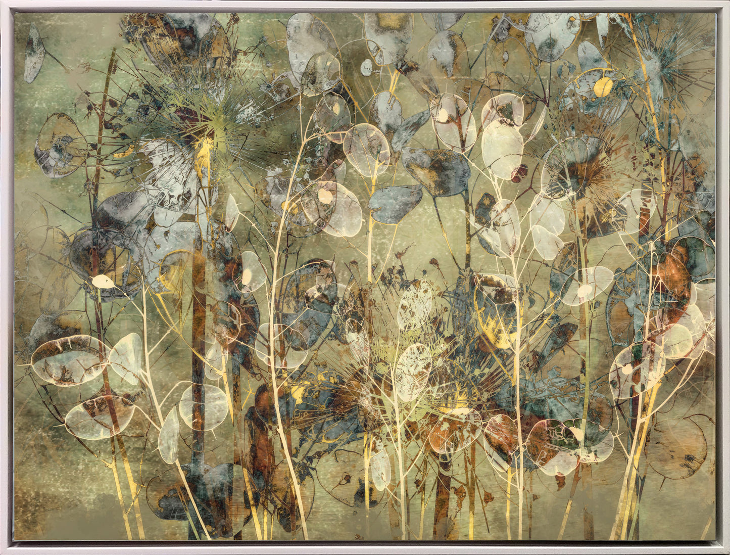 Impression of Seeds