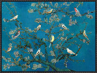 Birds In the Almond Blossom