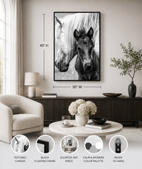 The Foal