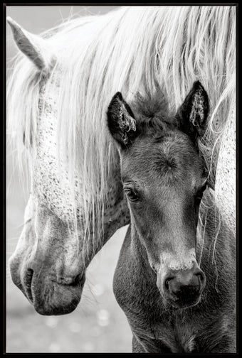 compare product The Foal