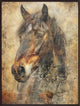 Horse Illustration 09