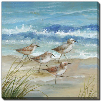compare product Sandpiper Gathering I