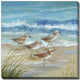 Sandpiper Gathering I