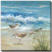 Sandpiper Gathering II