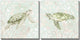Coral With Turtle Set of 2