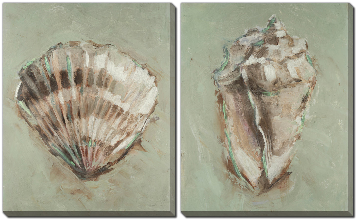 Aqua Shell Study Set of 2