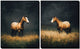 Meadow Song Set of 2