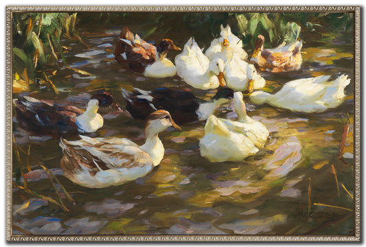 White Ducks in the Pond